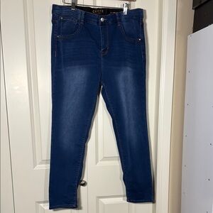 Curve Appeal Blue Skinny Jeans Classic Denim Style